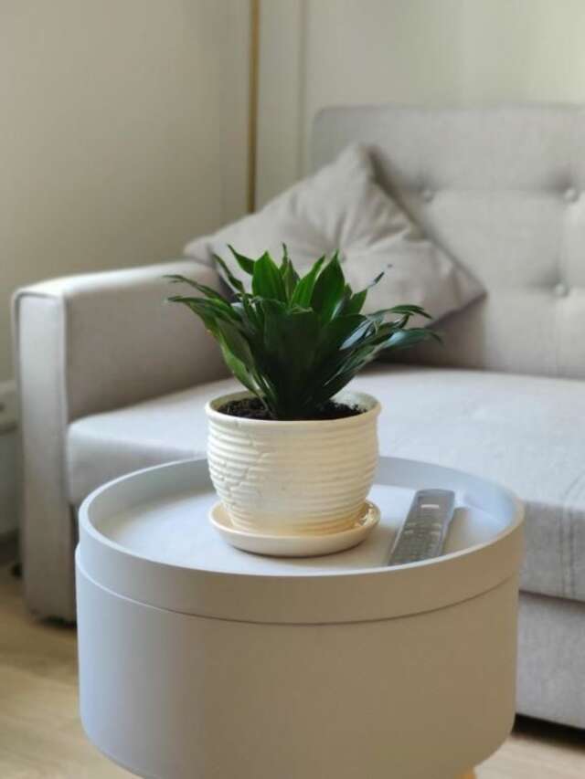 Апартаменты Luxury Meridianas View Apartment Клайпеда-33